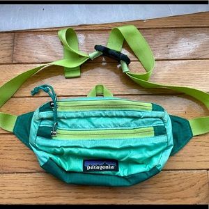 Patagonia Fanny Pack
